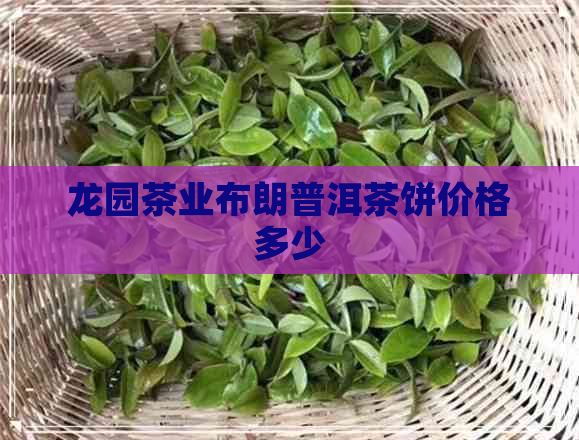 龙园茶业布朗普洱茶饼价格多少