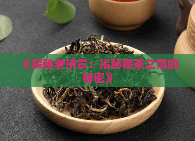 《探秘老班章：揭秘藏茶之巅的秘密》