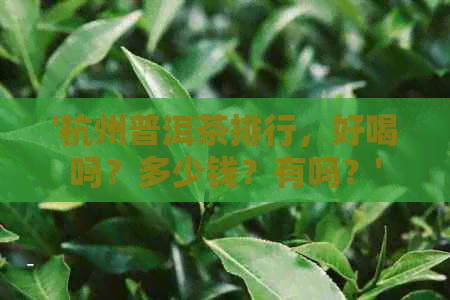 '杭州普洱茶排行，好喝吗？多少钱？有吗？'