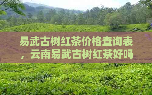 易武古树红茶价格查询表，云南易武古树红茶好吗？