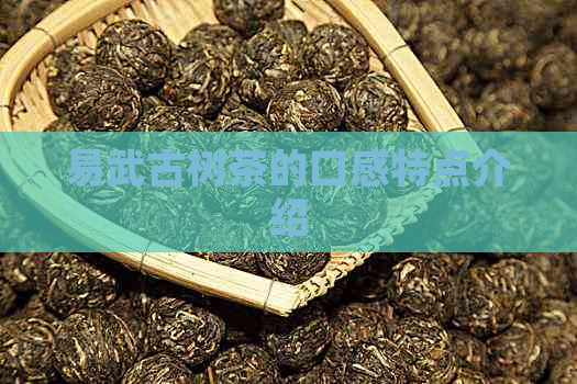 易武古树茶的口感特点介绍