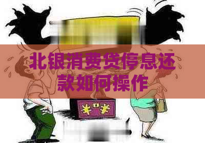 北银消费贷停息还款如何操作