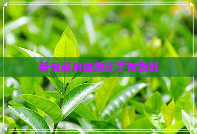 普洱茶用纸袋还是布袋好