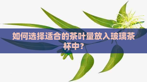 如何选择适合的茶叶量放入玻璃茶杯中？