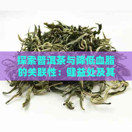 探索普洱茶与降低血脂的关联性：健益处及其科学依据