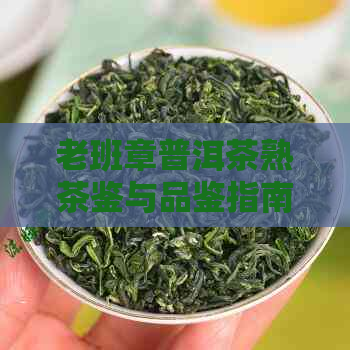 老班章普洱茶熟茶鉴与品鉴指南