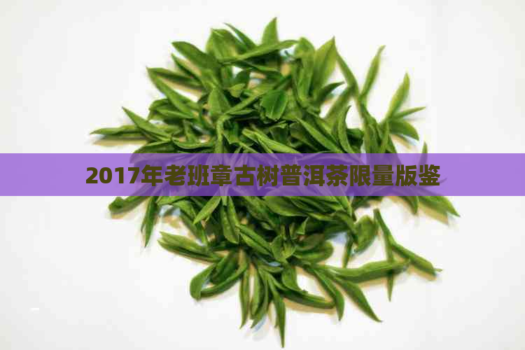 2017年老班章古树普洱茶限量版鉴