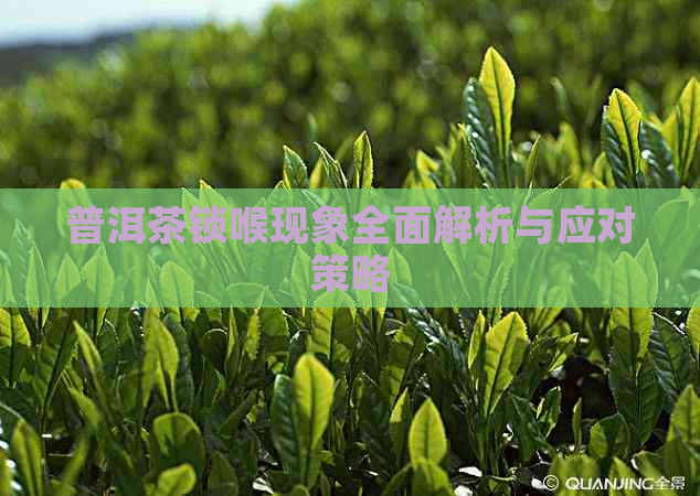 普洱茶锁喉现象全面解析与应对策略