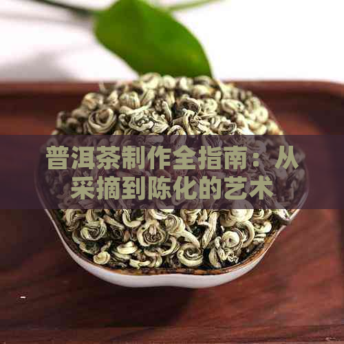 普洱茶制作全指南：从采摘到陈化的艺术