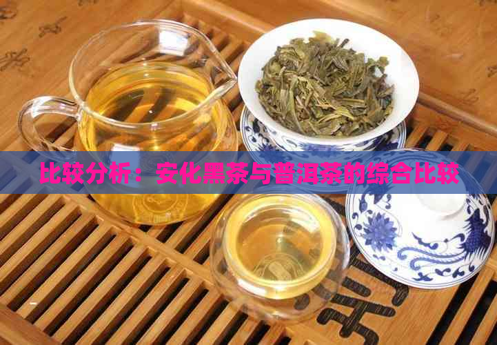 比较分析：安化黑茶与普洱茶的综合比较