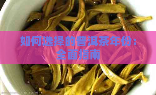 如何选择的普洱茶年份：全面指南