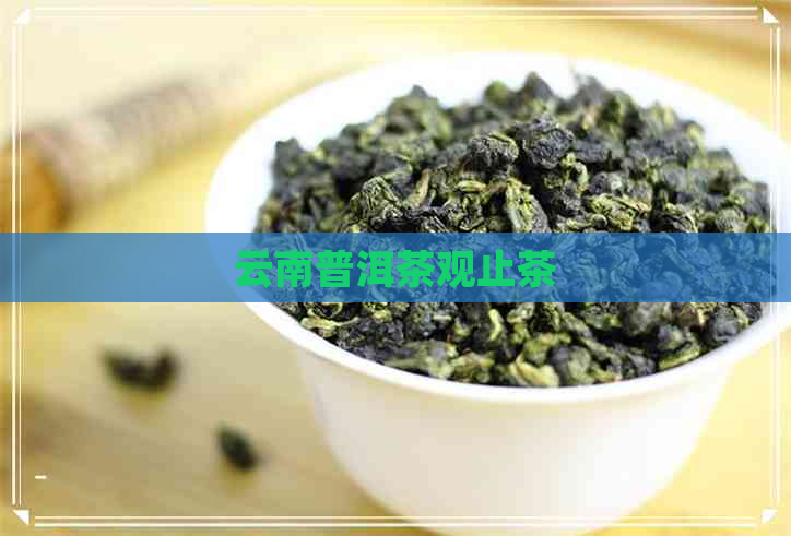 云南普洱茶观止茶