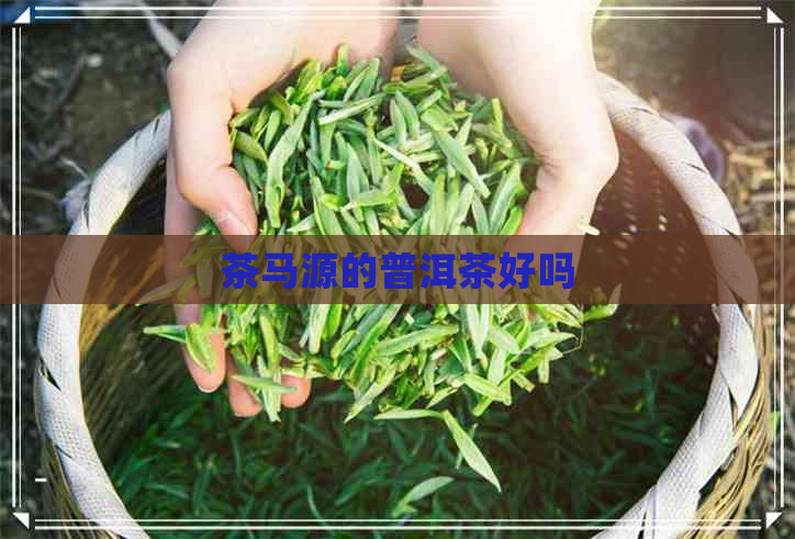 茶马源的普洱茶好吗