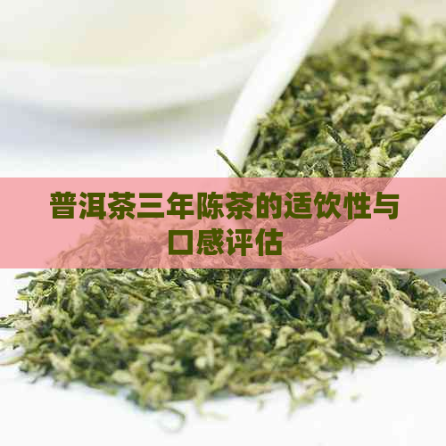 普洱茶三年陈茶的适饮性与口感评估