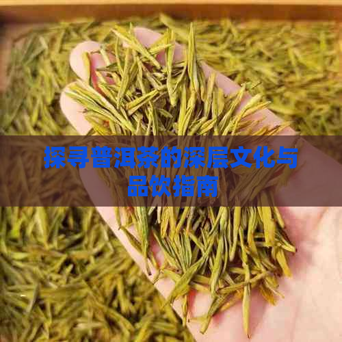 探寻普洱茶的深层文化与品饮指南