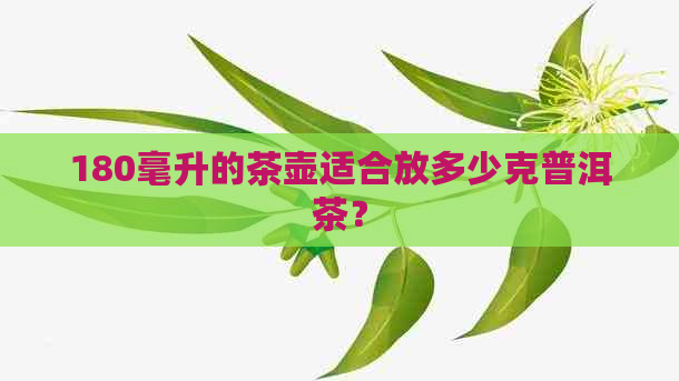 180毫升的茶壶适合放多少克普洱茶？