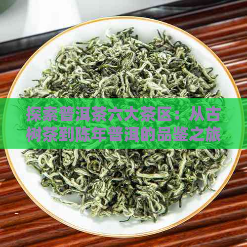 探索普洱茶六大茶区：从古树茶到陈年普洱的品鉴之旅