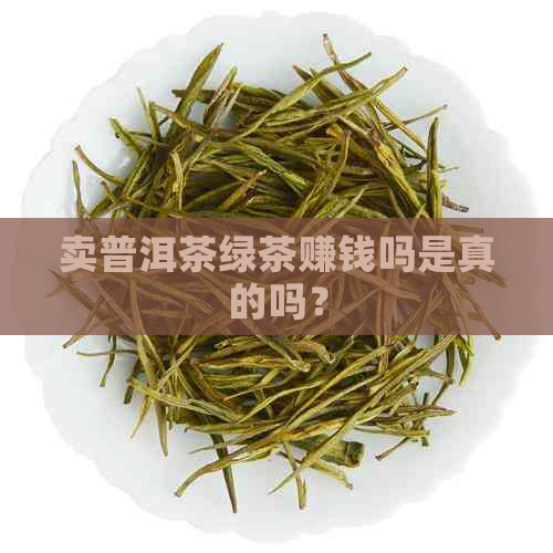 卖普洱茶绿茶赚钱吗是真的吗？