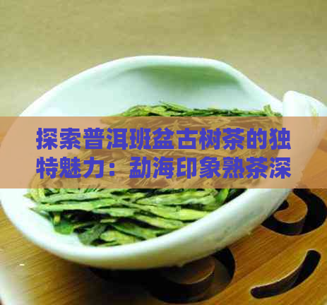 探索普洱班盆古树茶的独特魅力：勐海印象熟茶深度解析