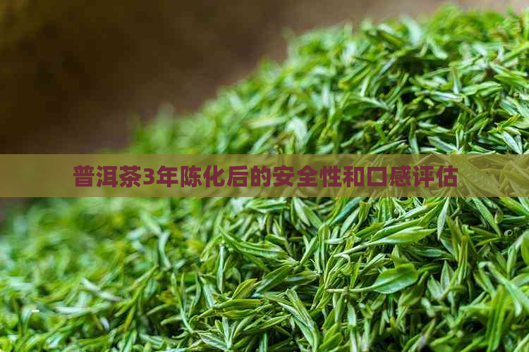 普洱茶3年陈化后的安全性和口感评估