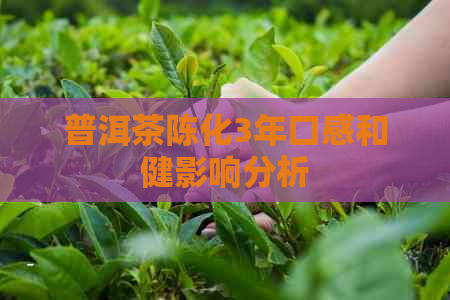 普洱茶陈化3年口感和健影响分析