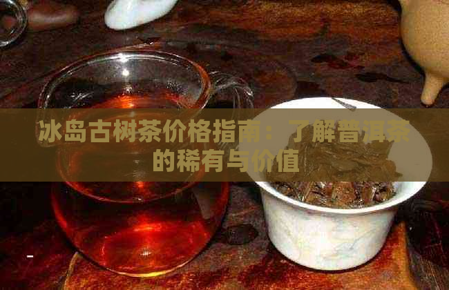 冰岛古树茶价格指南：了解普洱茶的稀有与价值