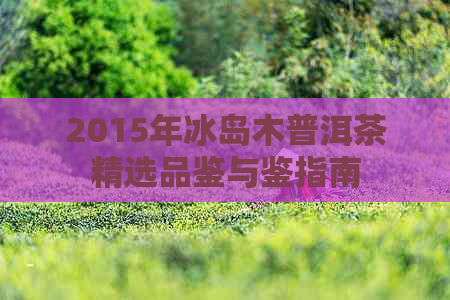 2015年冰岛木普洱茶精选品鉴与鉴指南