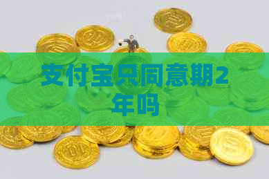 支付宝只同意期2年吗