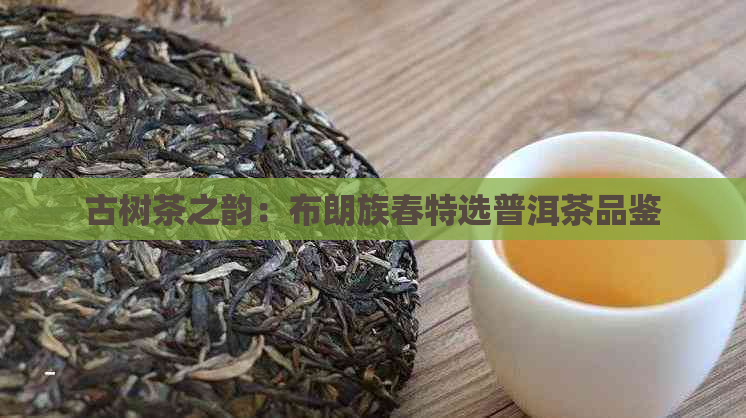 古树茶之韵：布朗族春特选普洱茶品鉴