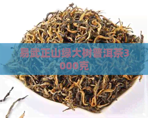 易武正山绿大树普洱茶3000克