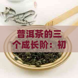 普洱茶的三个成长阶：初熟、成熟与陈化