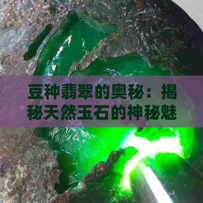 豆种翡翠的奥秘：揭秘天然玉石的神秘魅力