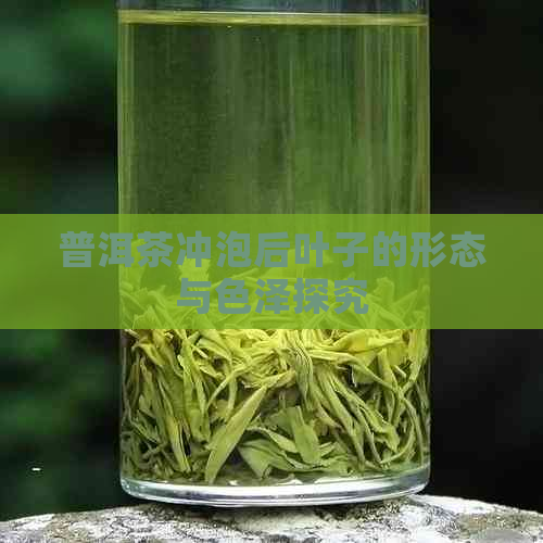 普洱茶冲泡后叶子的形态与色泽探究