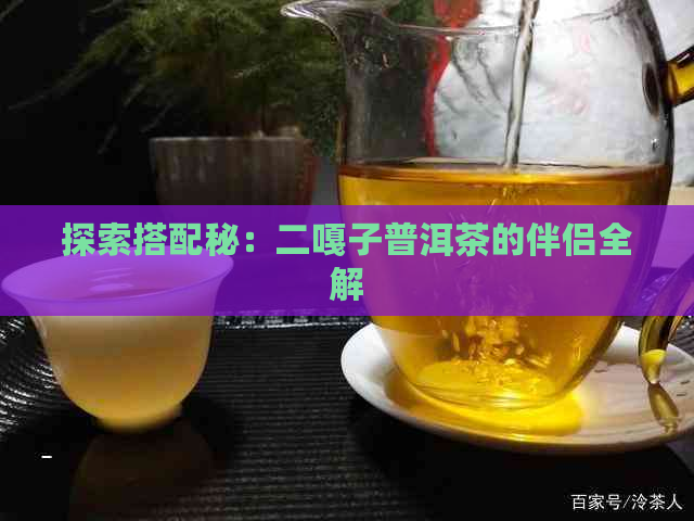 探索搭配秘：二嘎子普洱茶的伴侣全解