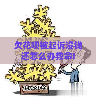 欠花呗被起诉没钱还怎么办救命!