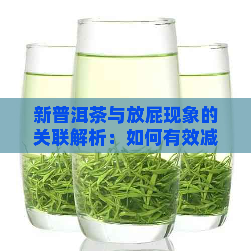 新普洱茶与放屁现象的关联解析：如何有效减少喝完茶后频繁放屁的问题？