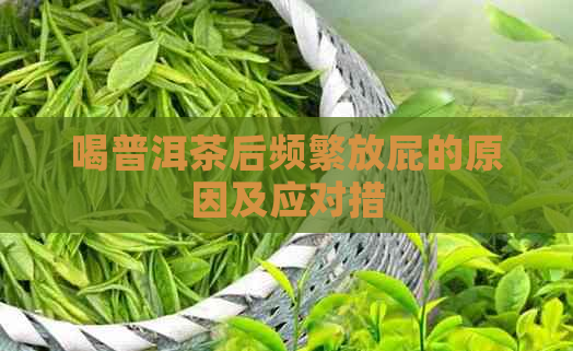 喝普洱茶后频繁放屁的原因及应对措