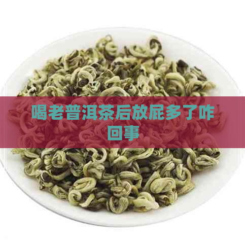 喝老普洱茶后放屁多了咋回事