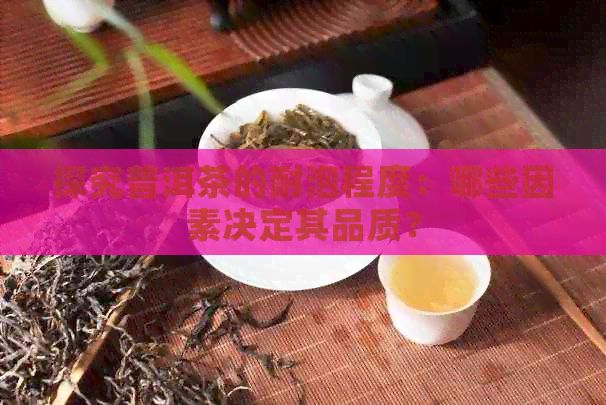 探究普洱茶的耐泡程度：哪些因素决定其品质？