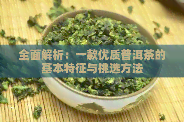 全面解析：一款优质普洱茶的基本特征与挑选方法