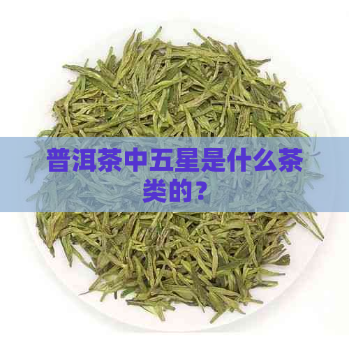 普洱茶中五星是什么茶类的？