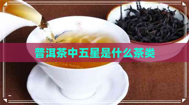 普洱茶中五星是什么茶类