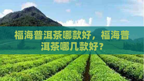 福海普洱茶哪款好，福海普洱茶哪几款好？