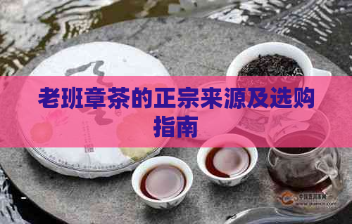 老班章茶的正宗来源及选购指南