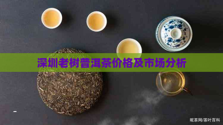 深圳老树普洱茶价格及市场分析