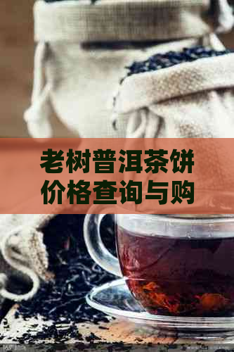 老树普洱茶饼价格查询与购买指南