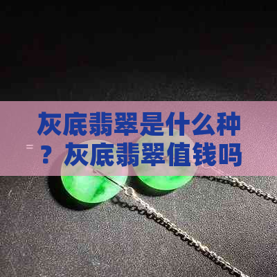 灰底翡翠是什么种？灰底翡翠值钱吗？