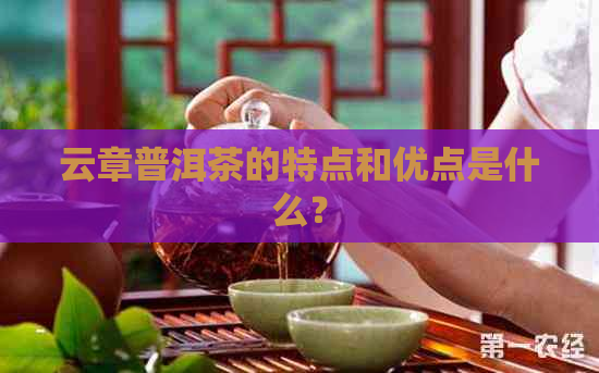 云章普洱茶的特点和优点是什么？