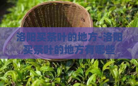 洛阳买茶叶的地方-洛阳买茶叶的地方有哪些