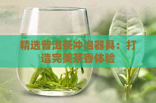 精选普洱茶冲泡器具：打造完美茶香体验